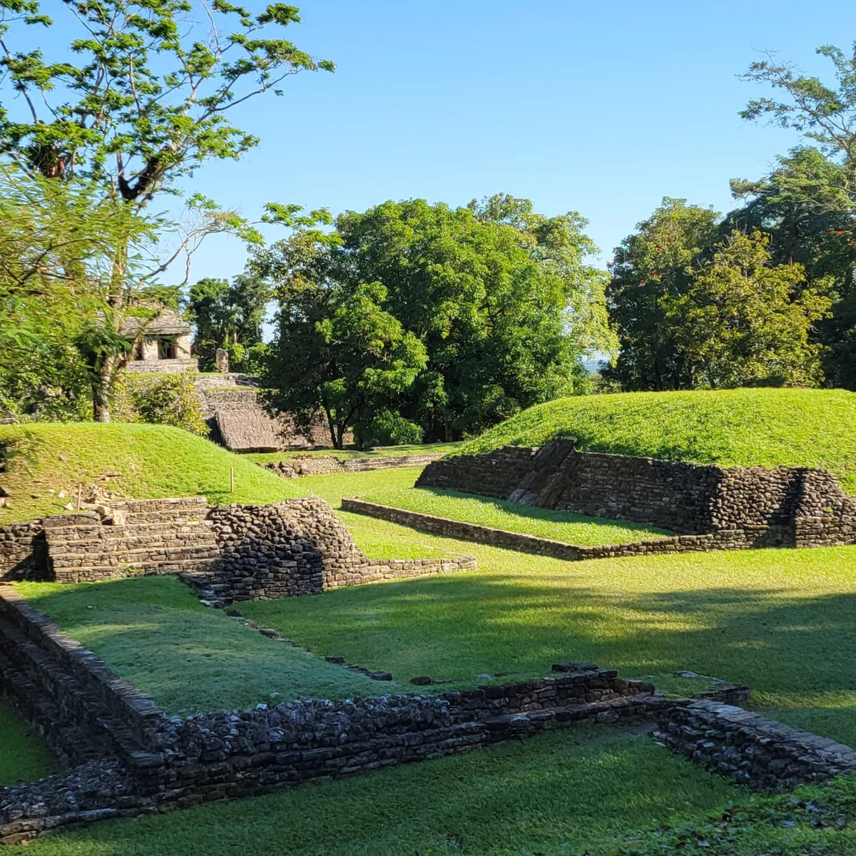 Palenque