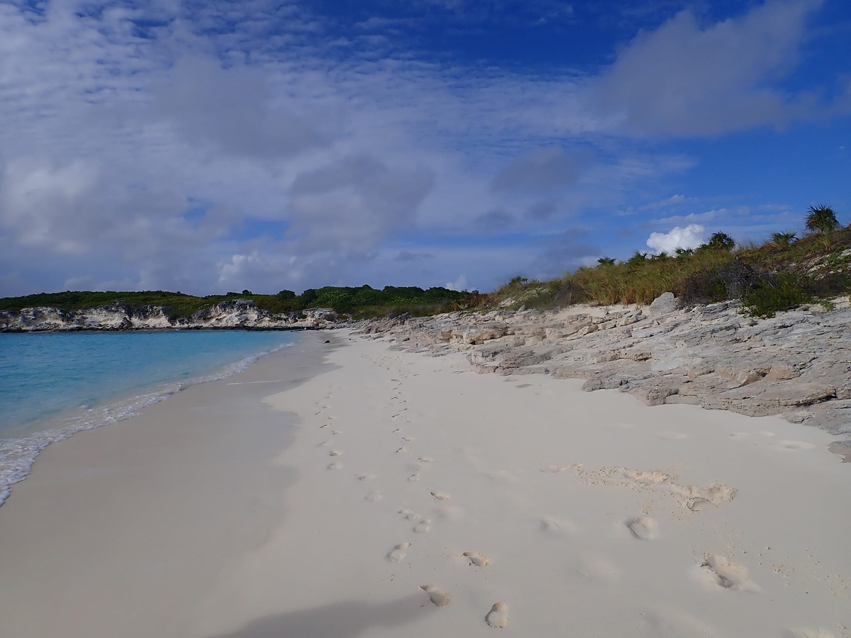 It is an important rookery for nesting seabirds and hatching site for green turtles. It is uninhabited and protected as part of the Conception Island National Park. 