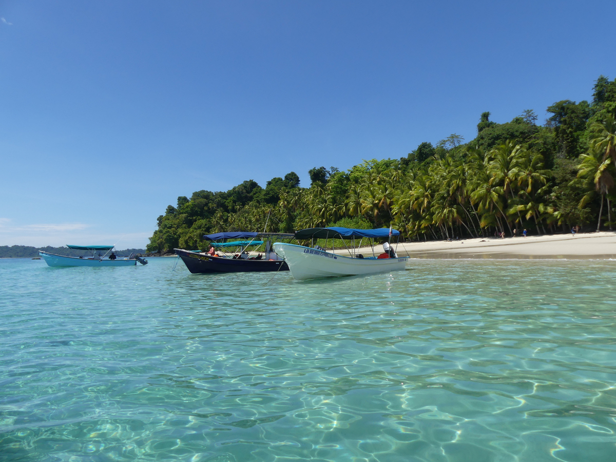 COIBA