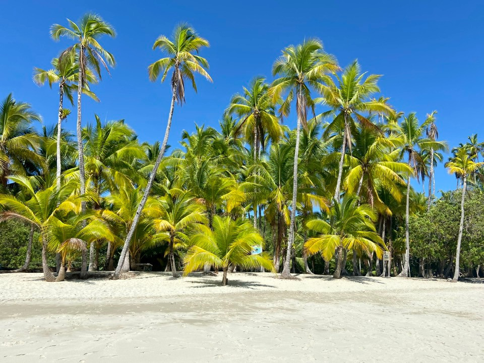 Coiba