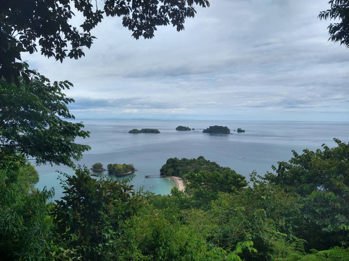 COIBA