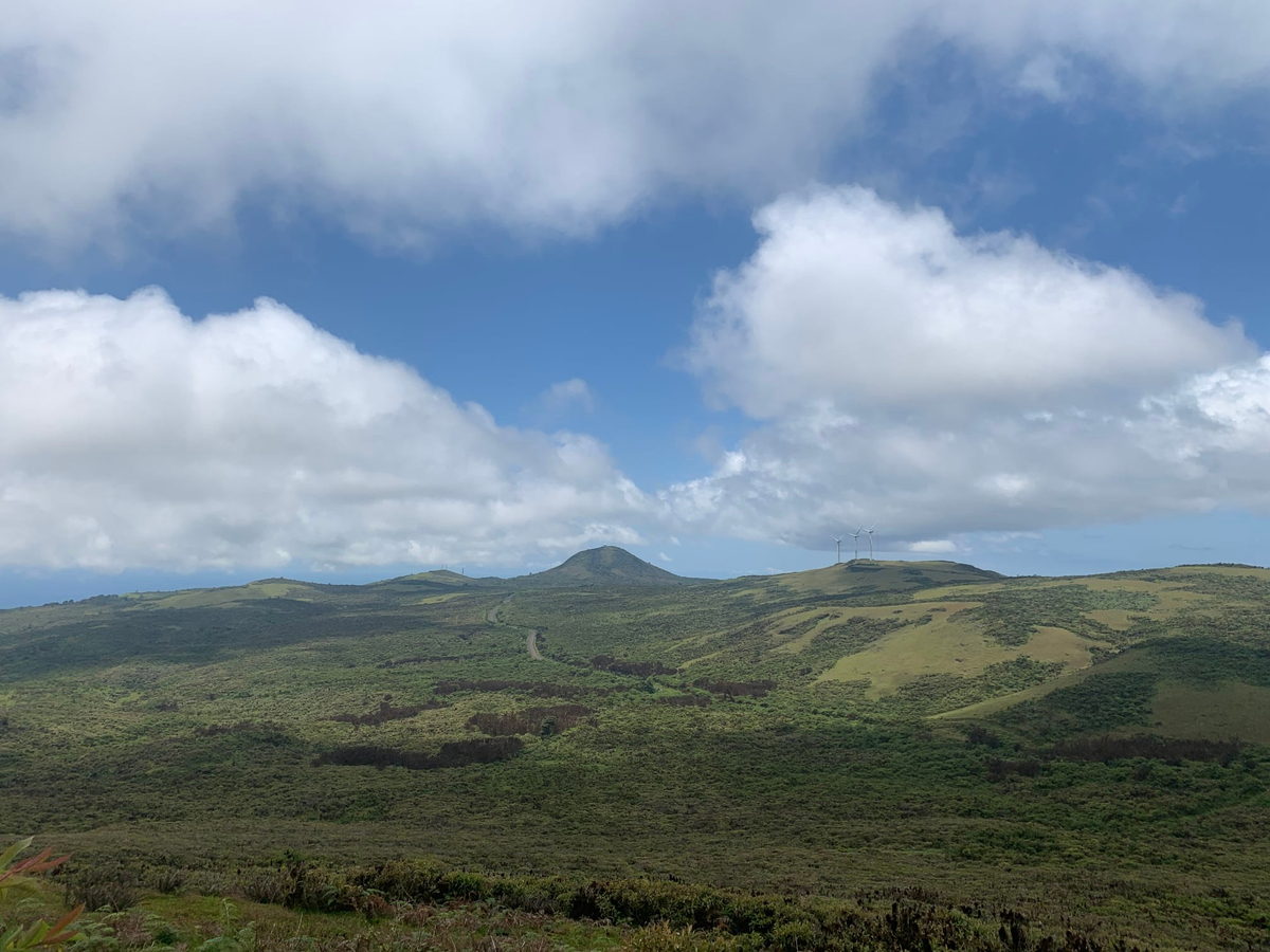 This island hosts frigatebirds, Galápagos sea lions, Galápagos tortoises, blue and red footed boobies, tropicbirds, marine iguanas, dolphins and swallow-tailed gulls. It has been recognised as an Important Bird Area (IBA) by BirdLife International.[5] Its vegetation includes Calandrinia galapagosa, Lecocarpus darwinii, trees such as Lignum vitae, Matazarna. In the waters nearby are sharks, rays, and lobsters. 