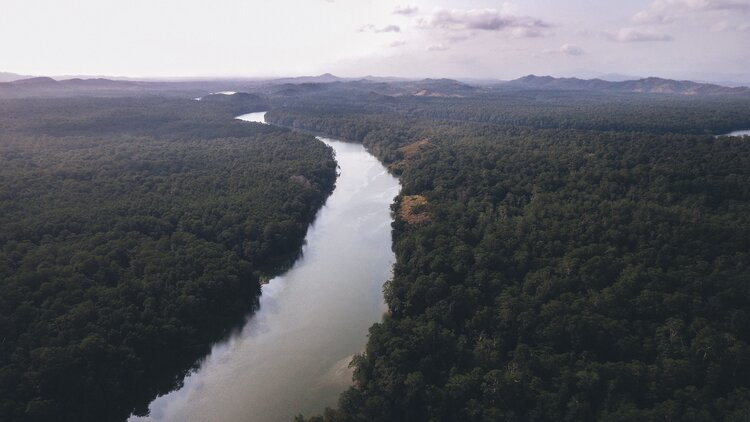 the darien gap