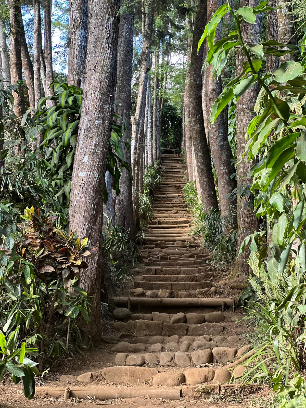 stairs