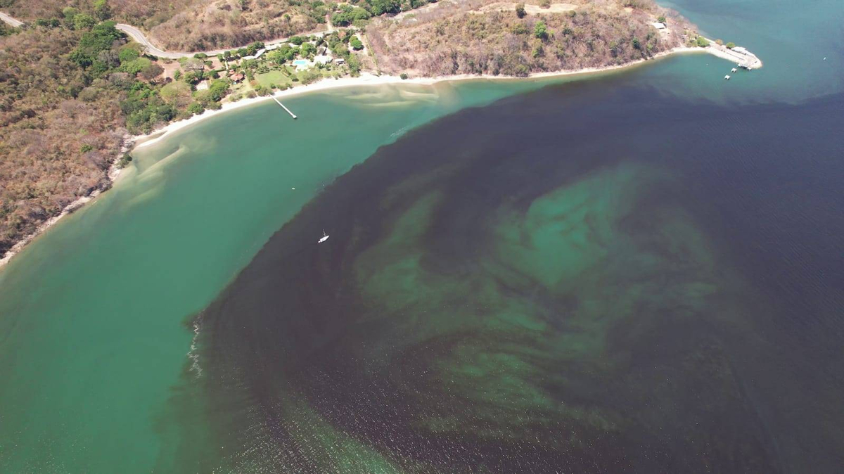 Red tide in Costa Rica