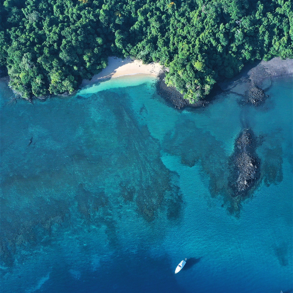 Coiba