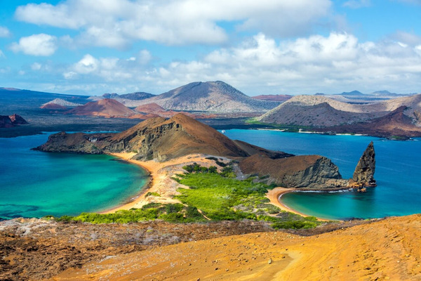 https://panamaposse.com/yacht-agents-galapagos