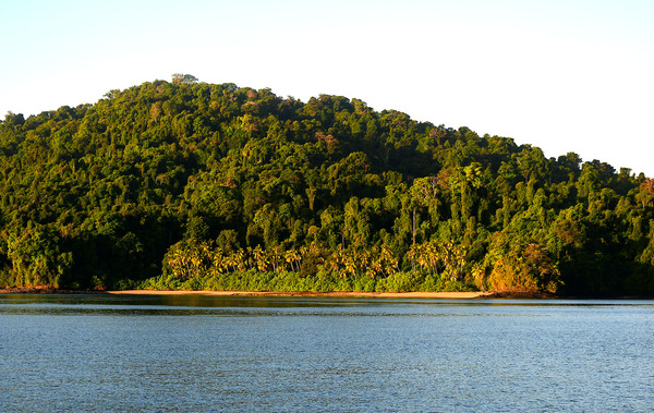 Coiba