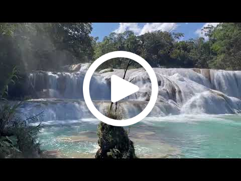 Agua Azul Waterfalls, Chiapas, Mexico 