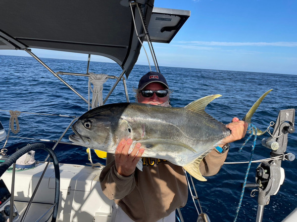 Crevalle Jack or Jack Creval, 