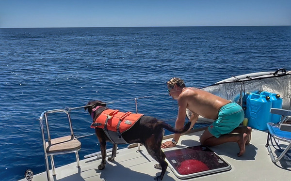 Sophie’s the best dolphin sighting partner!