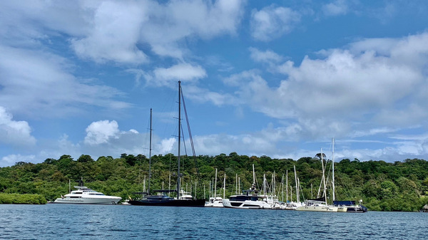 Bastimentos Island, Panama Marina Red Frog Beach Club pathfinder