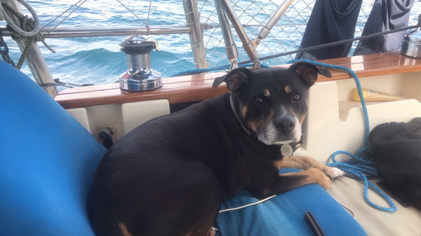 Another big thank you. Rigley our dog will appreciate the calm beach landing too wild blue