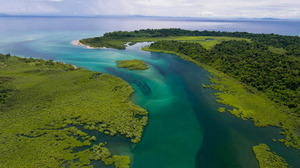 COIBA