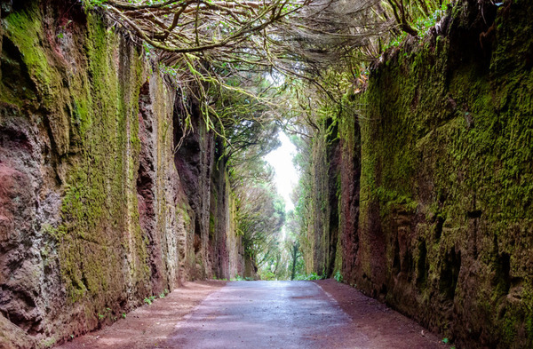 San-Cristobal-de-La-Laguna 