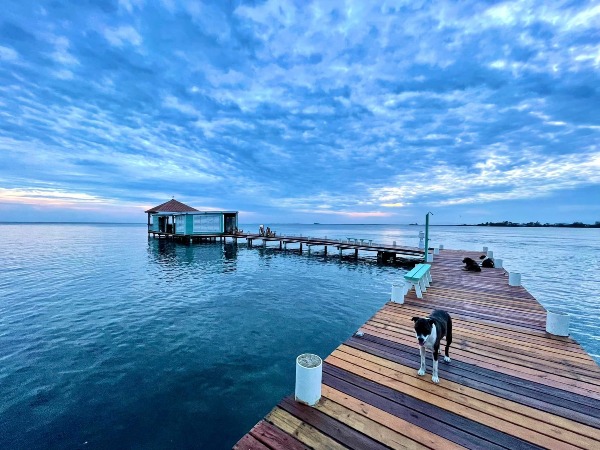 Placencia Yacht Club