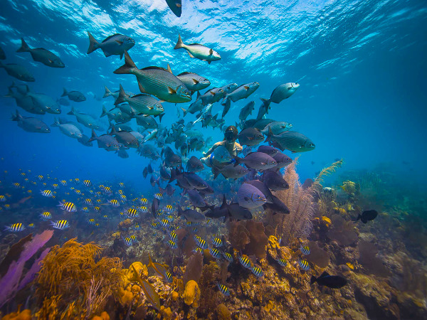 Snorkel the blue hole