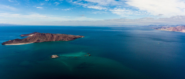 Sea of Cortez