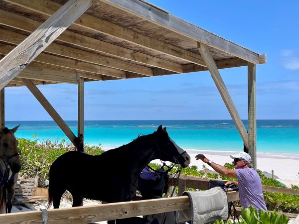 FEEDING A HORSE IN THE BAHAMAS