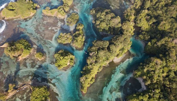  Isla Escudo de Veraguas